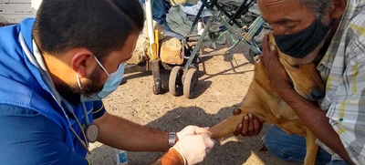 Binomio habitante de calle y animal de compañía: un vínculo de amor y cuidado