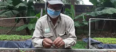 El Burilico, un sobreviviente que regresa al paisaje de Cali