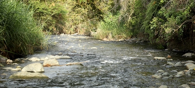 Avanza el Parque Ambiental Corazón de Pance