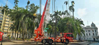 Dagma sigue trabajos para recuperar el verde de la Plaza de Cayzedo