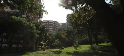 Corredor ambiental Cristo Rey:  integración ambiental, turística y deportiva para los caleños