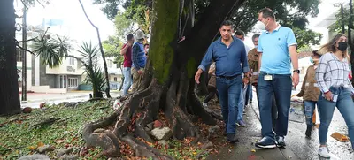 Renovarán separadores viales de las carreras 39, 66 y Avenida 6A