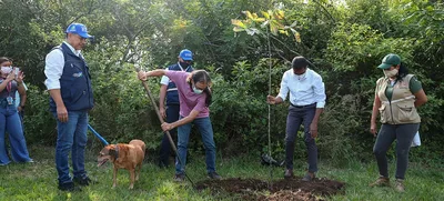 Comienzan los estudios y diseños del Parque Ambiental Corazón de Pance