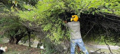 La Avenida Ciudad de Cali tendrá Intervención ambiental integral