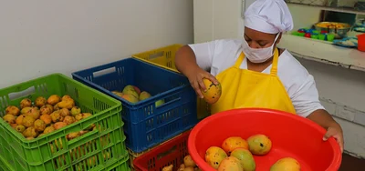 Conozca cómo se planean los menús de la alimentación escolar