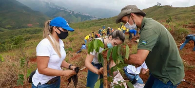 3800 especies de árboles se plantaron en Cristo Rey en honor a los atletas de los Juegos Panamericanos Junior