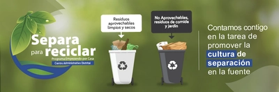 309 árboles se salvaron de ser talados gracias al Programa Empezando por Casa
