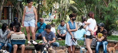 Los animales de compañía, amigos de la salud mental
