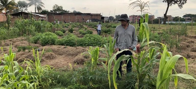 Desarrollo Económico visita huertas comunitarias del jarillón para articular estrategias sostenibles en Cali