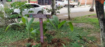 El ‘Parque del sancocho’ hierve de emociones