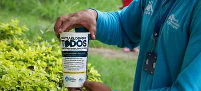 Prevención del dengue en temporada de lluvias