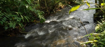 Parque Ambiental Corazón de Pance, respetará la dinámica natural del río