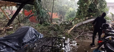 Cierran Ecoparque Písamos por afectaciones arbóreas