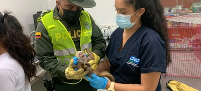 Nueva acción contra el tráfico y maltrato animal