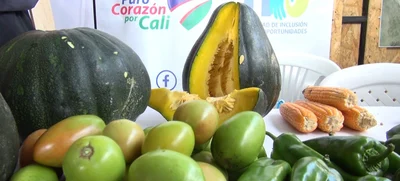 Las huertas urbanas comunitarias impactan en Llano Verde