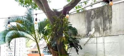Despedida y duelo por un gigante majestuoso