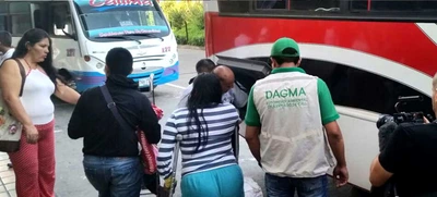 Incrementan acciones de control para proteger la palma de cera