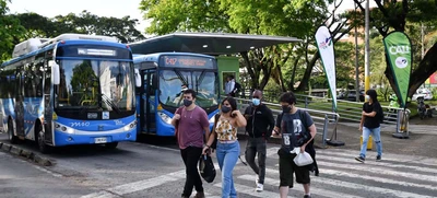 Desde el 30 de mayo se reactivan cuatro rutas del MIO