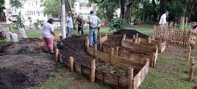 Huertas familiares y comunitarias, alternativa hacia la soberanía y seguridad alimentaria
