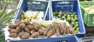 Desde el viernes regresan nuestros mercados campesinos con la mejor oferta orgánica y natural
