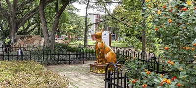 Bulevar del Río, sitio de encuentro favorito para propios y visitantes