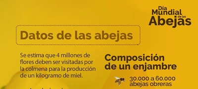 Informe Especial