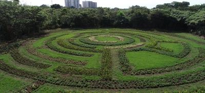 Parque Ambiental Corazón de Pance, protección de la diversidad biológica