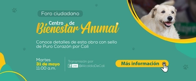 No te pierdas el Foro Ciudadano sobre el ‘Centro de Bienestar Animal’