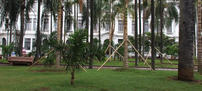 Recuperación Ambiental y Paisajística de la Plaza de Cayzedo