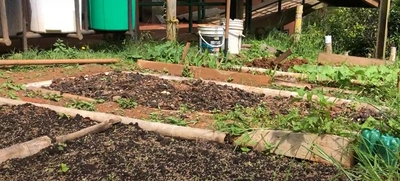 La Educación Ambiental hace parte del plan curricular de las instituciones educativas oficiales de Cali