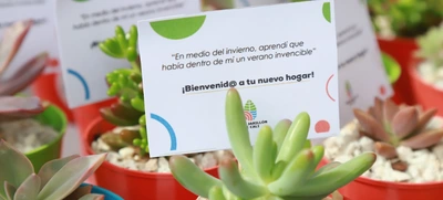 Una vivienda digna y propia para los beneficiarios del Plan Jarillón