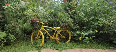 ‘Cali negocia rural’, una oportunidad para el turismo de naturaleza