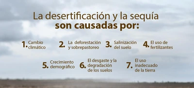 Hoy el mundo conmemora el Día de lucha contra la desertificación y la sequía