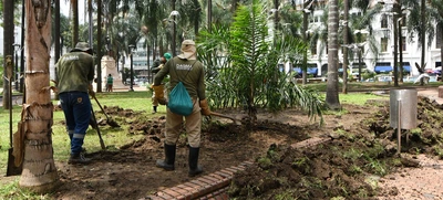 Adelantos en la recuperación ambiental de la Plaza de Cayzedo