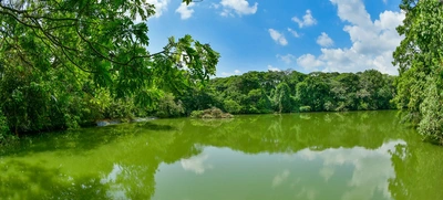 Presentación planes de manejo ambiental de ecoparques