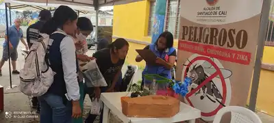 Salud Pública Distrital continúa desplegando acciones contra el dengue