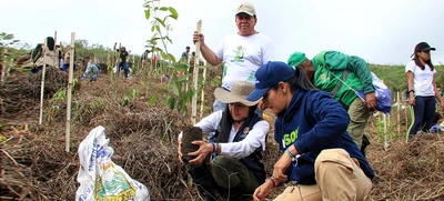 Cumpleaños feliz para Cali con la siembra de 1.000 árboles contra incendios