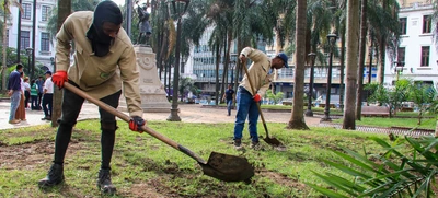 Con pasto esmeralda ponemos más bella la Plaza de Cayzedo