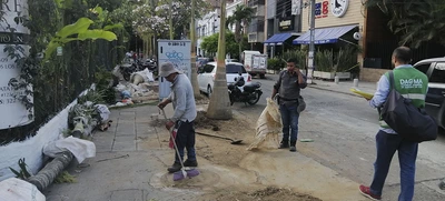 Buenas intenciones no bastan para intervenir el arbolado urbano