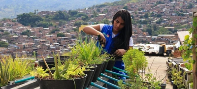 Comedores comunitarios se fortalecen con la instalación de huertas urbanas