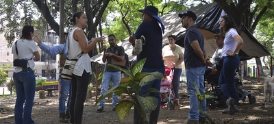 Organismos internacionales se interesan en las huertas de Cali