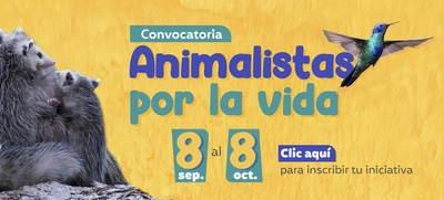 Animalistas por la vida: una convocatoria de cultura ciudadana