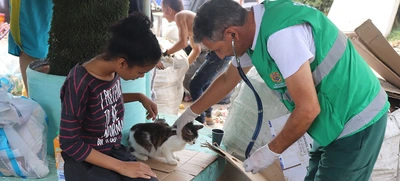 Garantizamos de los animales de compañía presentes en diligencia