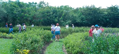 Acércate y conoce el parque ambiental ‘Corazón de Pance’