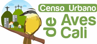 Cali se prepara para contar sus aves residentes y migratorias
