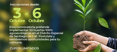 Participa de la convocatoria para crear y cultivar huertas 100% agroecológicas