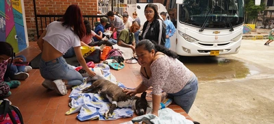 Esterilizan animales de compañía durante jornada de servicios institucionales en Brisas de Mayo
