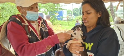 Dagma brindó atención veterinaria en zona inundada del jarillón del río Cauca