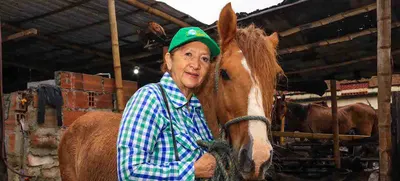 Un nuevo comienzo para ‘Zepelín’, el caballo que le ha dado todo a una familia del oriente de Cali
