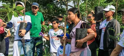 Siembra masiva de árboles contra el cambio climático